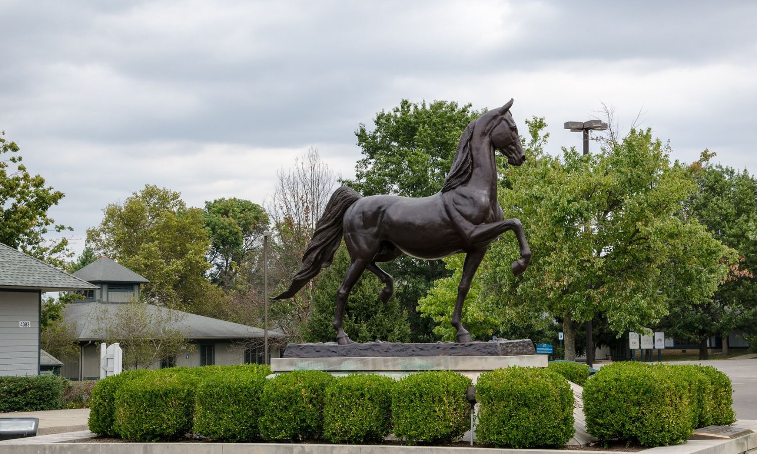 Louisville Bronze horse statue on a pedestal surrounded by greenery in an outdoor setting.